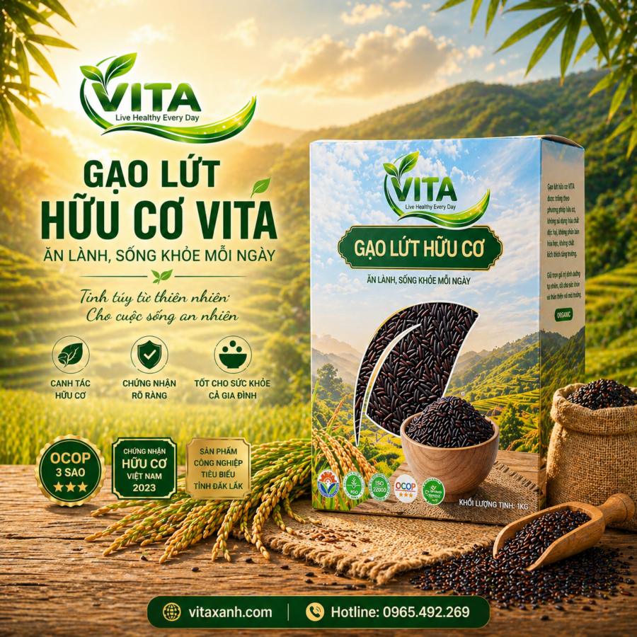 GẠO LỨT HỮU CƠ VITA
