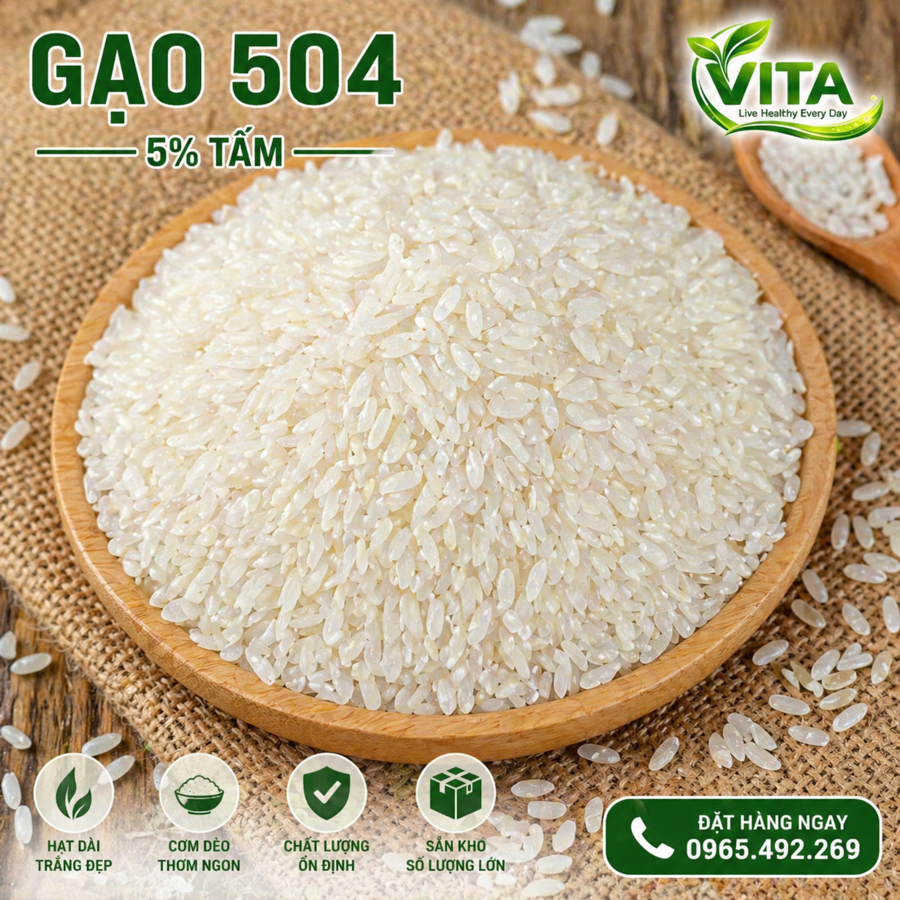 GẠO 504